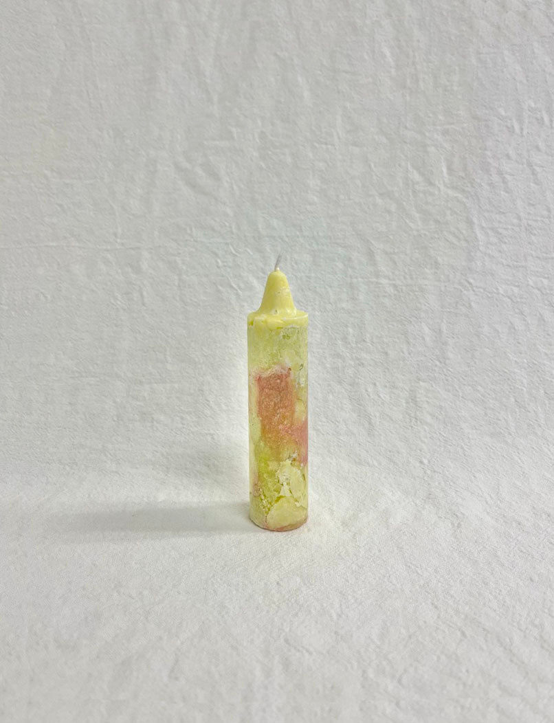 MIKROKOSMOS/Lime Coral